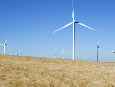 Carbon Neutrality Windmills in field
